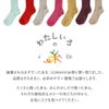 nokotta リブ靴下 ソックス くつ下 綿 100 コットン 日本製